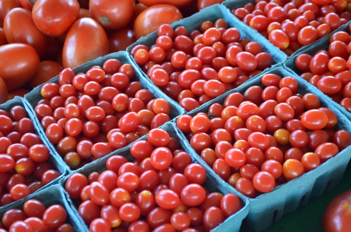 Red Cherry Tomato - Lycopersicon lycopersicon from Kings Garden Center