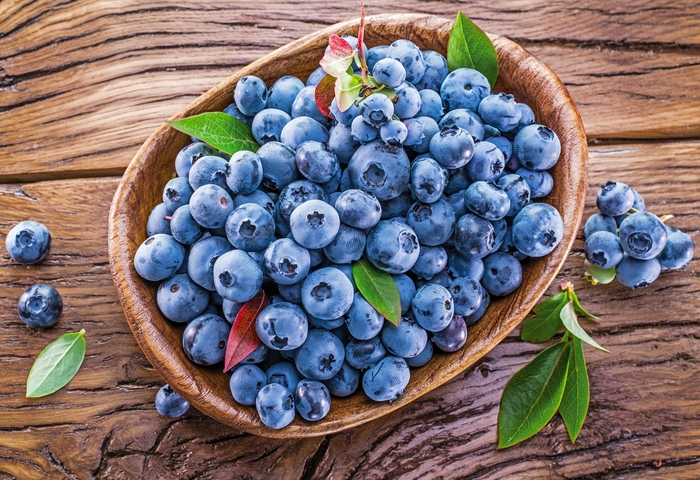 Blueberry - Vaccinium corymbosum from Kings Garden Center