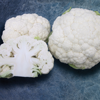  Cauliflower - Snowbowl F1 