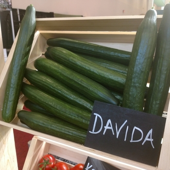 Cucurmis sativa 'Davida' - Slicing Cucumber